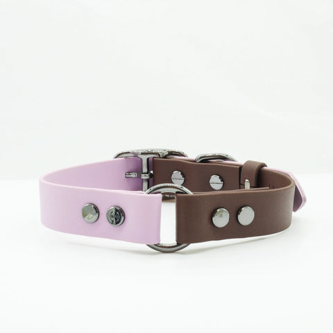 Biothane Waterproof Dog Collars